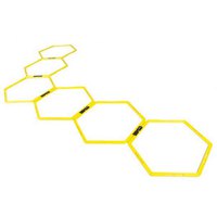 olive-agility-hexagoner