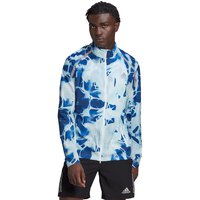 adidas-jaqueta-marathon-translucent