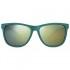 Polaroid eyewear PLD 6014/S Sunglasses