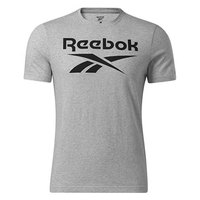 reebok-ri-big-logo-short-sleeve-t-shirt